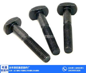 上海T型螺栓專業(yè)供應(yīng)商 旺盈緊固件，金屬拉絲加工品質(zhì)保障